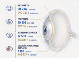 24-08-2-rus