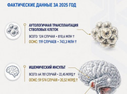 24-08-3-rus