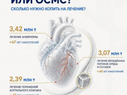 24-08-1-rus