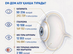 24-08-2-kaz
